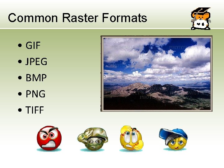 Common Raster Formats • GIF • JPEG • BMP • PNG • TIFF Common Raster Formats • GIF • JPEG • BMP • PNG • TIFF