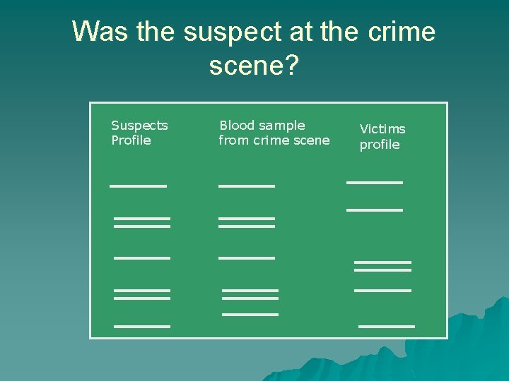 Was the suspect at the crime scene? Suspects Profile Blood sample from crime scene