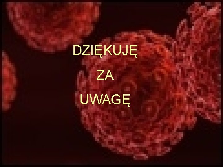 DZIĘKUJĘ ZA UWAGĘ 