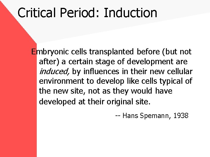 Critical Period: Induction Embryonic cells transplanted before (but not after) a certain stage of