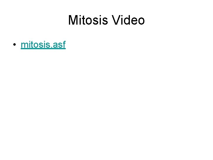 Mitosis Video • mitosis. asf 