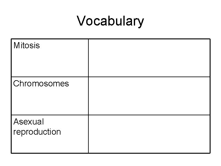 Vocabulary Mitosis Chromosomes Asexual reproduction 