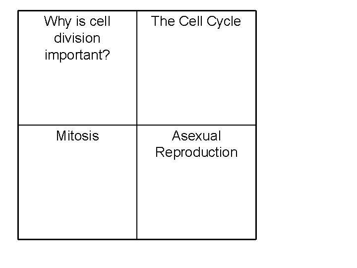Why is cell division important? The Cell Cycle Mitosis Asexual Reproduction 