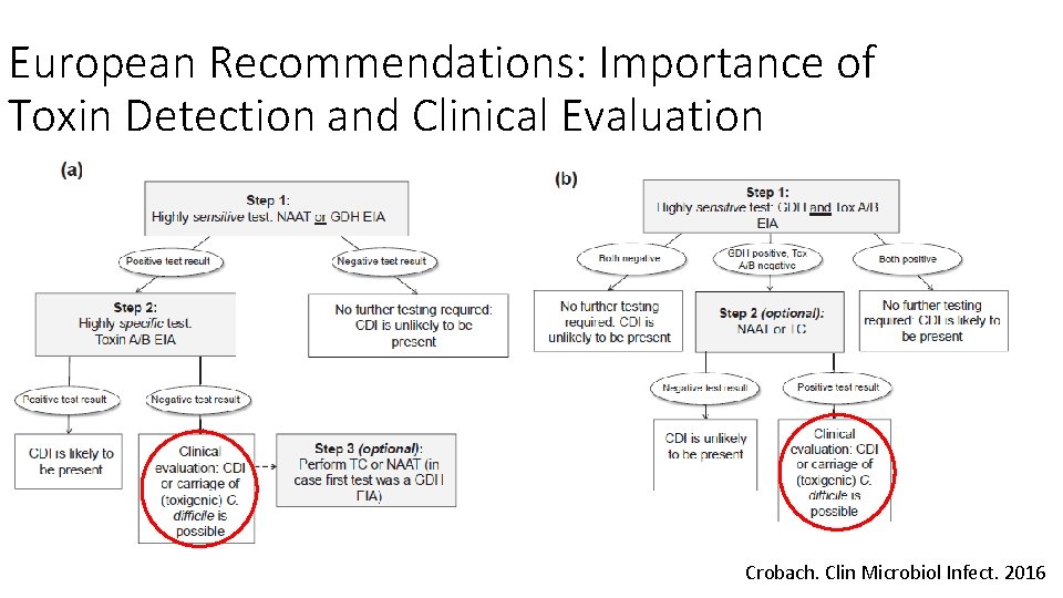 European Recommendations: Importance of Toxin Detection and Clinical Evaluation Crobach. Clin Microbiol Infect. 2016