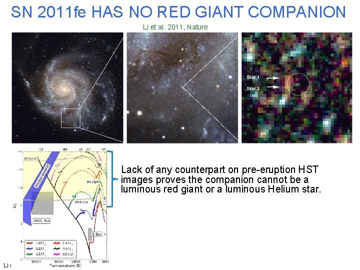 SN 2011 fe HAS NO RED GIANT COMPANION Li et al. 2011, Nature Lack