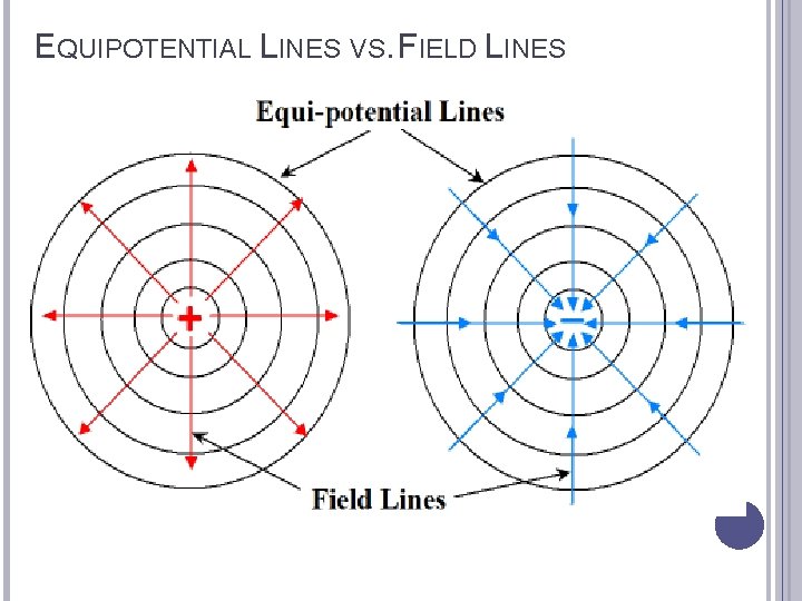 EQUIPOTENTIAL LINES VS. FIELD LINES 