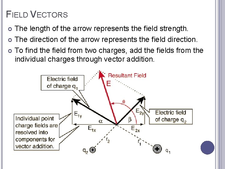 FIELD VECTORS The length of the arrow represents the field strength. The direction of