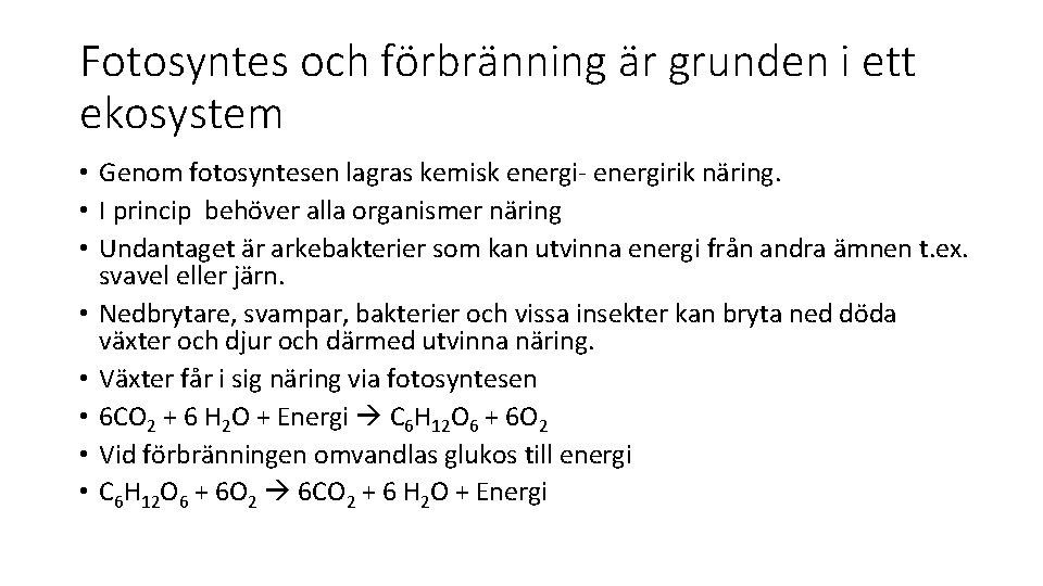 Fotosyntes och förbränning är grunden i ett ekosystem • Genom fotosyntesen lagras kemisk energi-