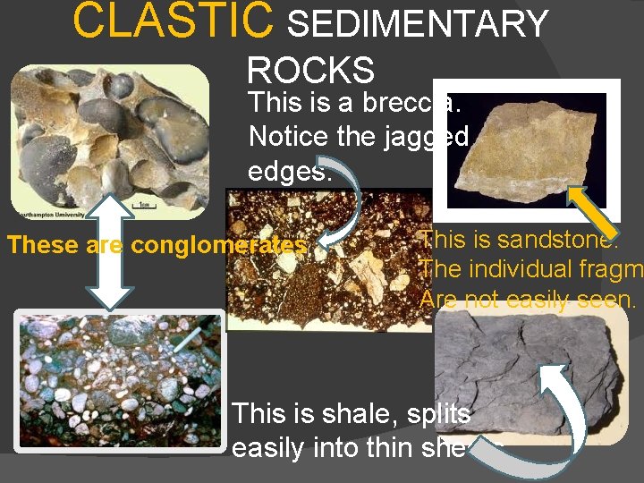 CLASTIC SEDIMENTARY ROCKS This is a breccia. Notice the jagged edges. These are conglomerates