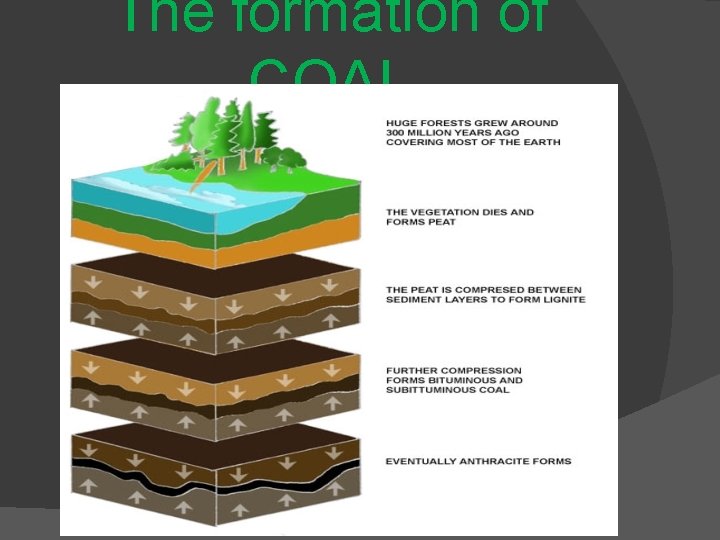 The formation of COAL 