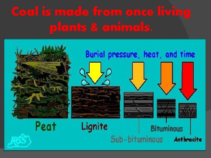 Coal is made from once living plants & animals. 