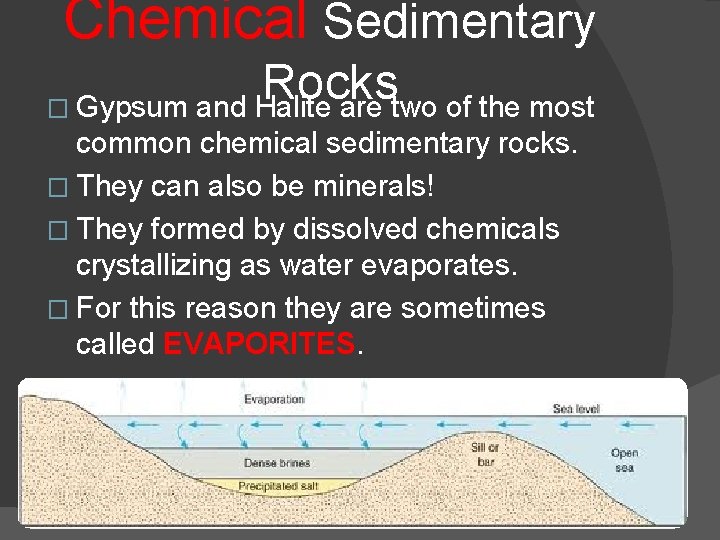 Chemical Sedimentary Rocks � Gypsum and Halite are two of the most common chemical