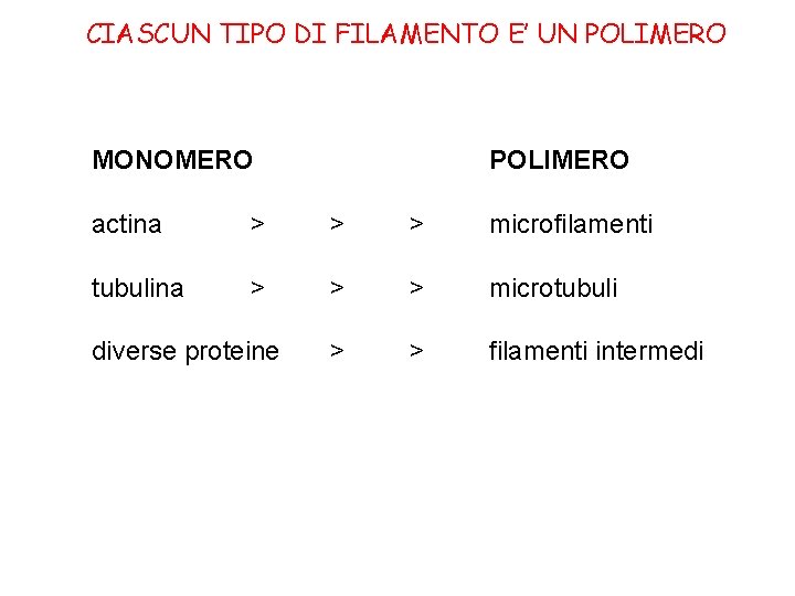 CIASCUN TIPO DI FILAMENTO E’ UN POLIMERO MONOMERO POLIMERO actina > > > microfilamenti