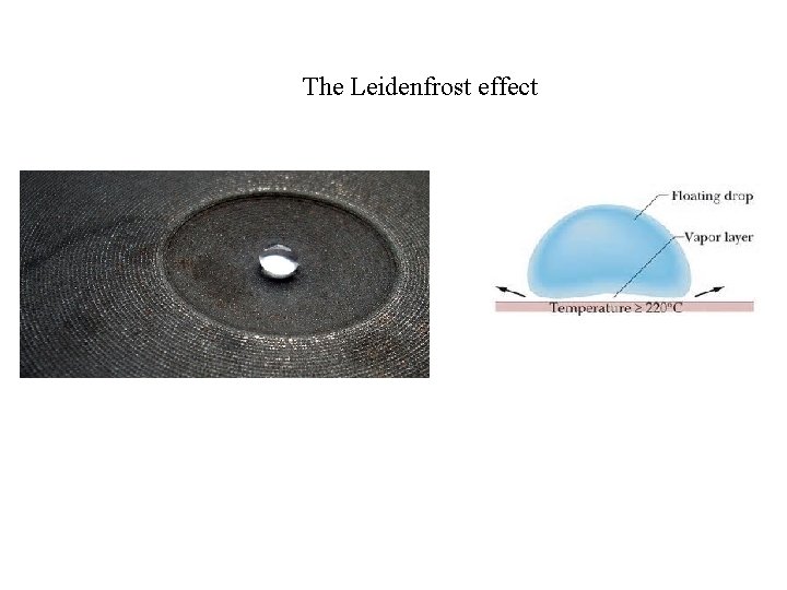 The Leidenfrost effect The Leidenfrost effect