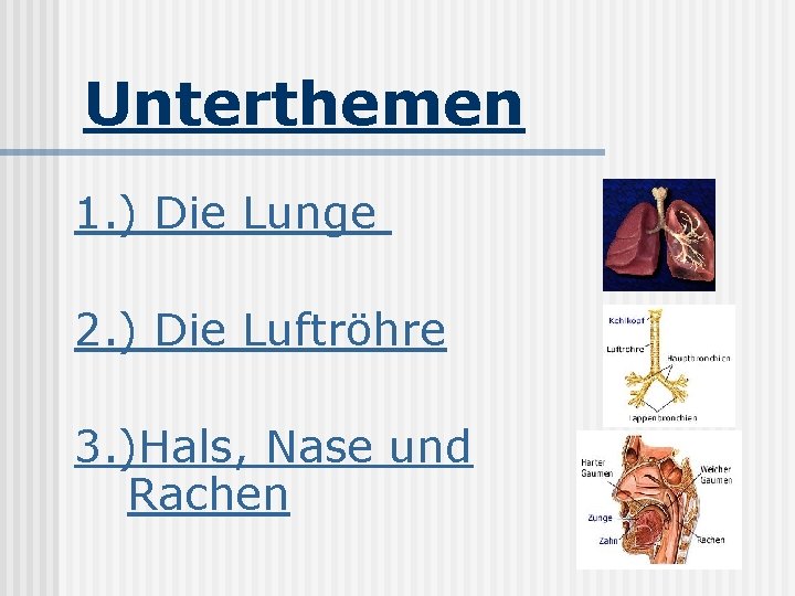 Unterthemen 1. ) Die Lunge 2. ) Die Luftröhre 3. )Hals, Nase und Rachen