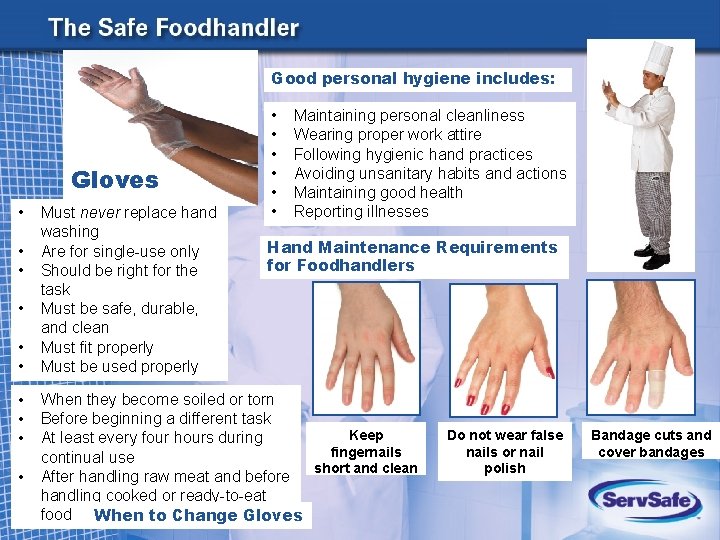 Good personal hygiene includes: Gloves • • • Must never replace hand washing Are