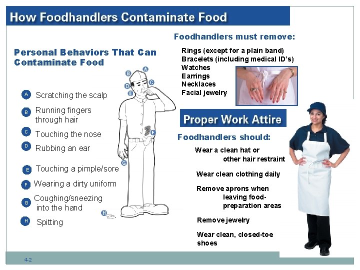 Foodhandlers must remove: Personal Behaviors That Can Contaminate Food A B Scratching the scalp