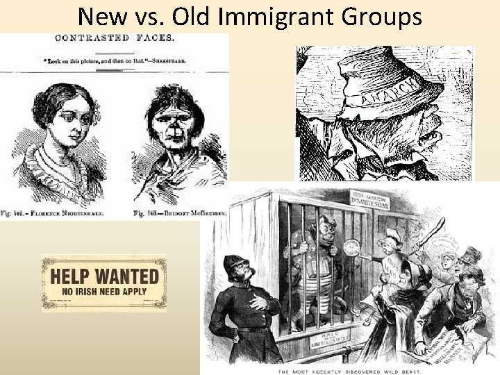 New vs. Old Immigrant Groups 
