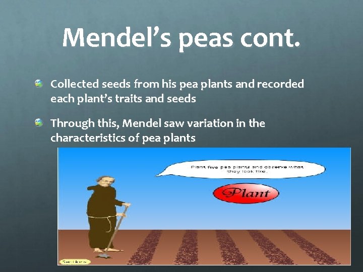 Mendel’s peas cont. Collected seeds from his pea plants and recorded each plant’s traits