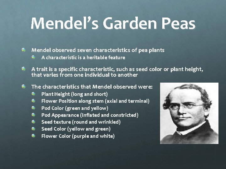 Mendel’s Garden Peas Mendel observed seven characteristics of pea plants A characteristic is a