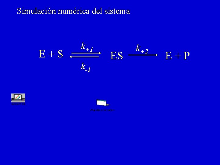 Simulación numérica del sistema E+S k+1 k-1 ES k+2 E+P 