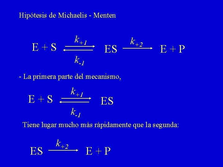 Hipótesis de Michaelis - Menten E+S k+1 k-1 ES k+2 E+P - La primera