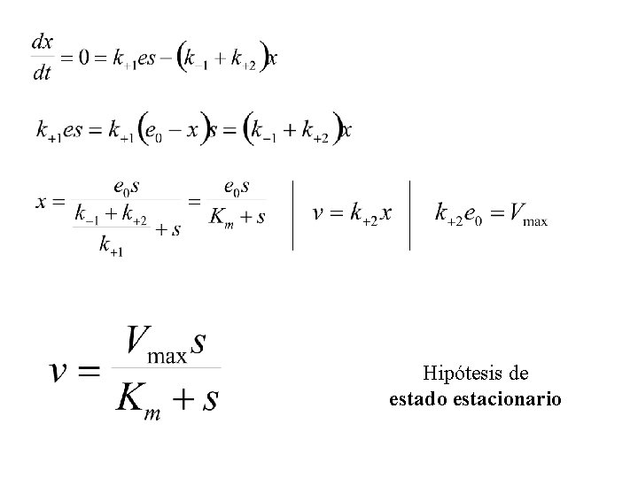 Hipótesis de estado estacionario 