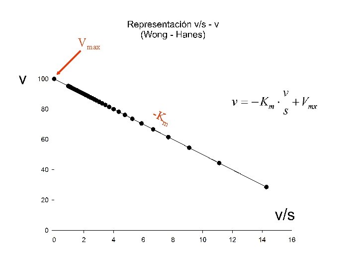 Vmax -K m 