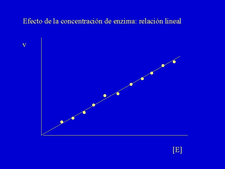 Efecto de la concentración de enzima: relación lineal v . . . [E] 