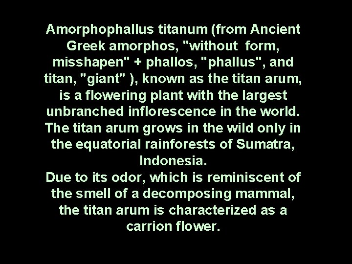 Amorphophallus titanum (from Ancient Greek amorphos, "without form, misshapen" + phallos, "phallus", and titan,