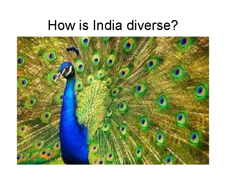How is India diverse? 