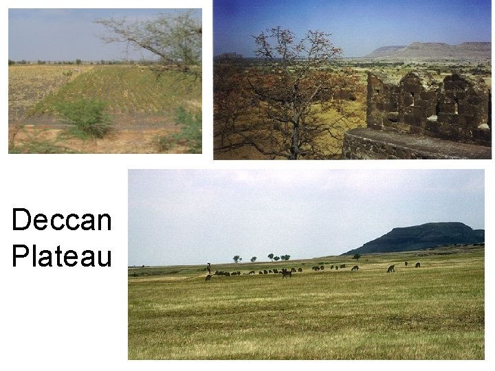 Deccan Plateau 