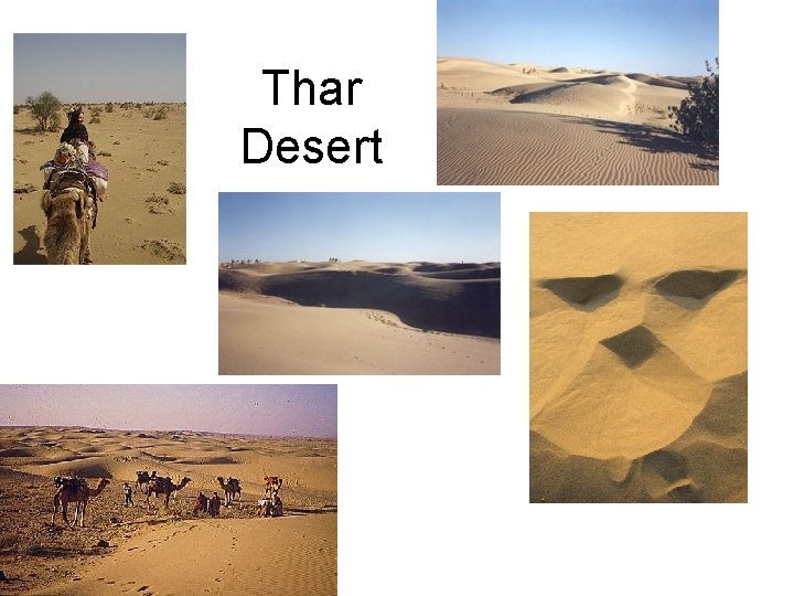 Thar Desert 