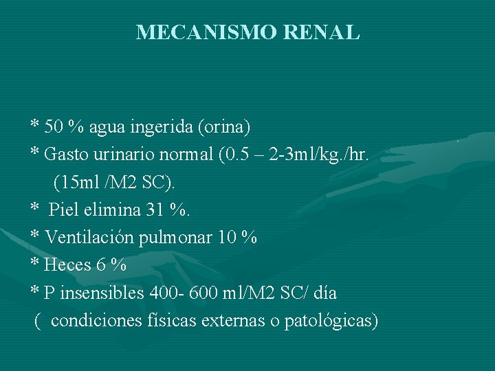 MECANISMO RENAL * 50 % agua ingerida (orina) * Gasto urinario normal (0. 5