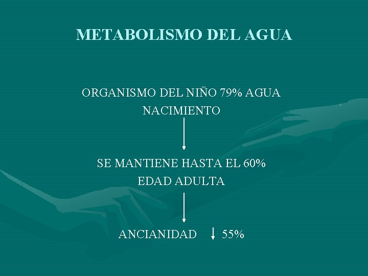 METABOLISMO DEL AGUA ORGANISMO DEL NIÑO 79% AGUA NACIMIENTO SE MANTIENE HASTA EL 60%