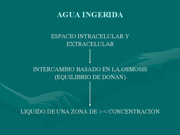 AGUA INGERIDA ESPACIO INTRACELULAR Y EXTRACELULAR INTERCAMBIO BASADO EN LA OSMOSIS (EQUILIBRIO DE DONAN)