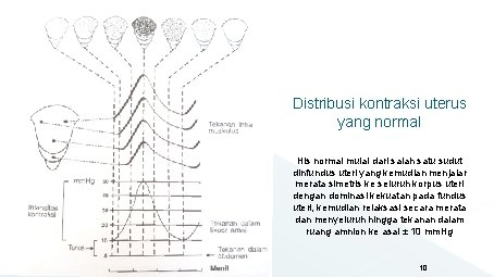 Distribusi kontraksi uterus yang normal His normal mulai dari salah satu sudut dinfundus uteri Distribusi kontraksi uterus yang normal His normal mulai dari salah satu sudut dinfundus uteri