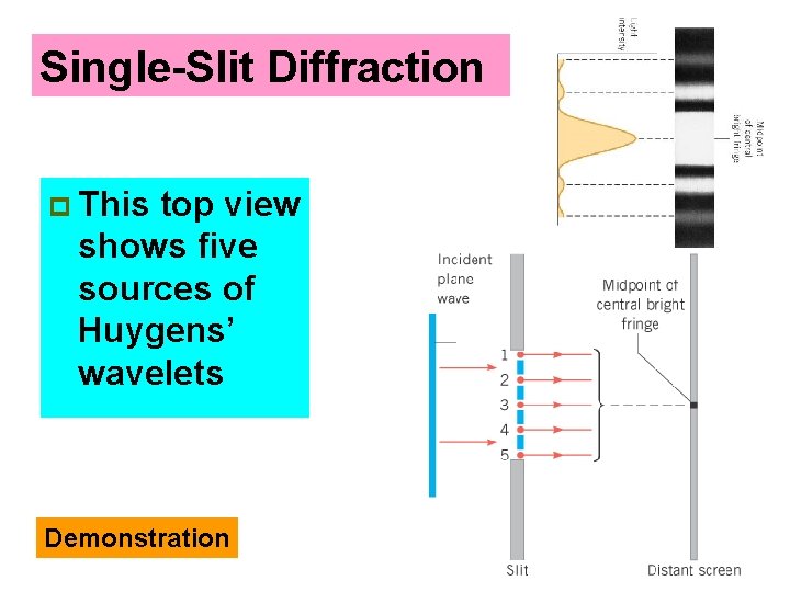 Single-Slit Diffraction p This top view shows five sources of Huygens’ wavelets Demonstration 
