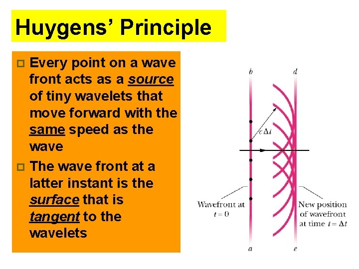 Huygens’ Principle Every point on a wave front acts as a source of tiny
