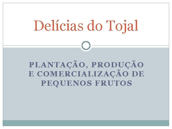 Delícias do Tojal PLANTAÇÃO, PRODUÇÃO E COMERCIALIZAÇÃO DE PEQUENOS FRUTOS 