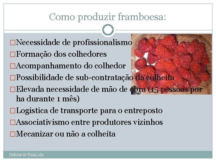 Como produzir framboesa: �Necessidade de profissionalismo �Formação dos colhedores �Acompanhamento do colhedor �Possibilidade de