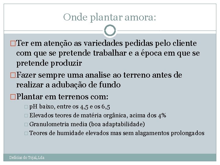 Onde plantar amora: �Ter em atenção as variedades pedidas pelo cliente com que se