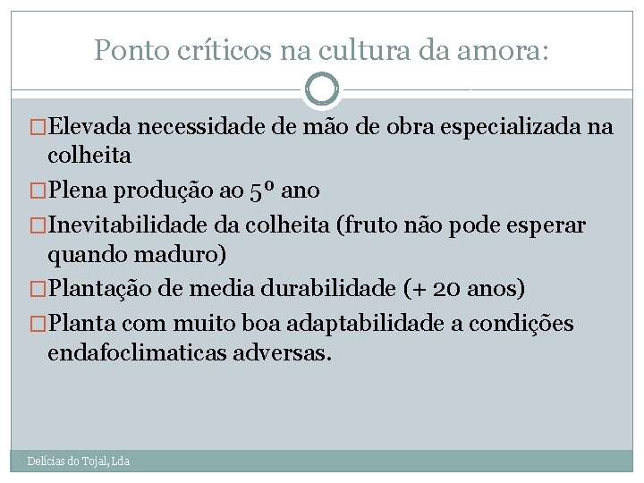 Ponto críticos na cultura da amora: �Elevada necessidade de mão de obra especializada na