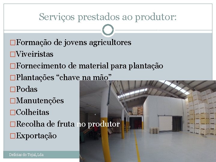 Serviços prestados ao produtor: �Formação de jovens agricultores �Viveiristas �Fornecimento de material para plantação