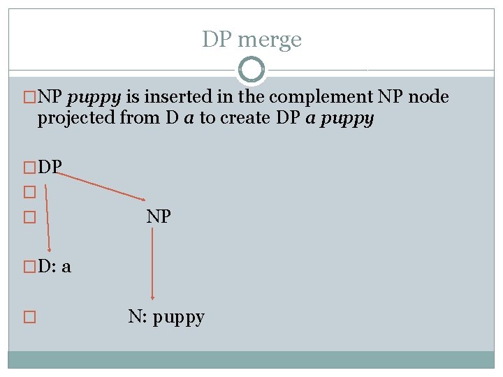 DP merge �NP puppy is inserted in the complement NP node projected from D