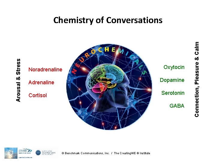 Noradrenaline Oxytocin Adrenaline Dopamine Cortisol Serotonin GABA © Benchmark Communications, Inc. / The Creating. Noradrenaline Oxytocin Adrenaline Dopamine Cortisol Serotonin GABA © Benchmark Communications, Inc. / The Creating.