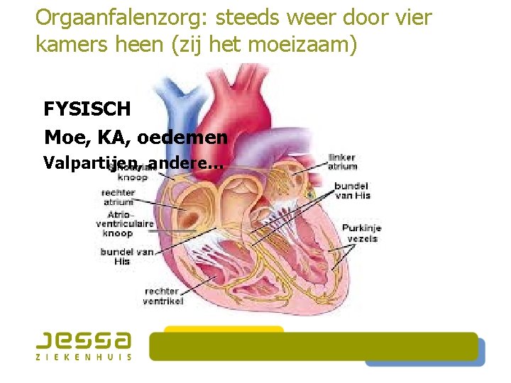 Orgaanfalenzorg: steeds weer door vier kamers heen (zij het moeizaam) FYSISCH Moe, KA, oedemen