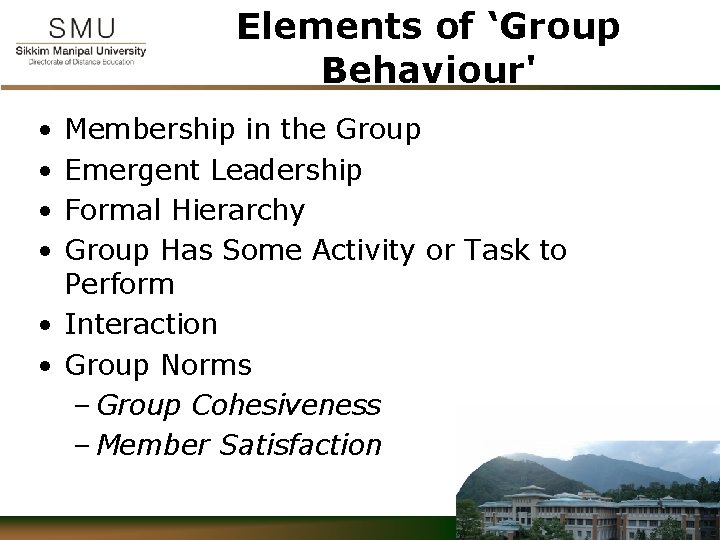 Elements of ‘Group Behaviour' • • Membership in the Group Emergent Leadership Formal Hierarchy