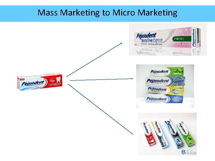 Mass Marketing to Micro Marketing 