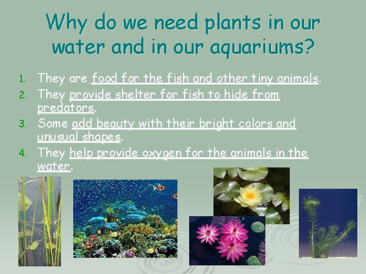 Why do we need plants in our water and in our aquariums? 1. 2. Why do we need plants in our water and in our aquariums? 1. 2.